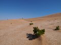  Namib